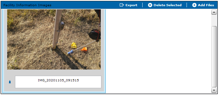 Primary Photo Selected in Form