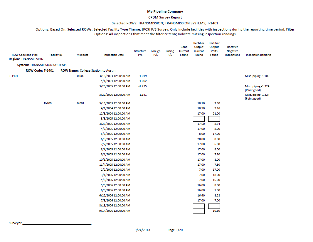 Example of CPDM Survey Report