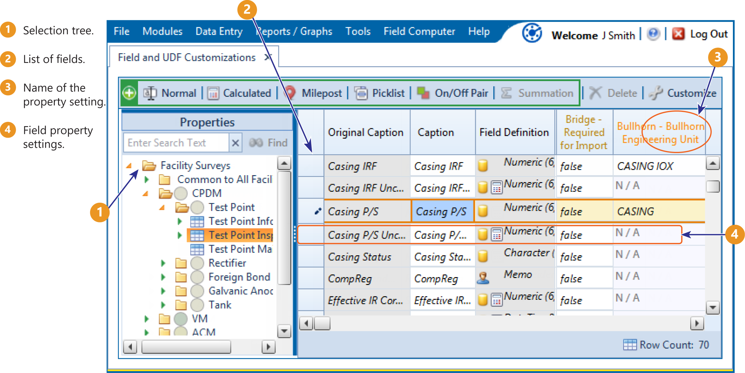 Field and UDF Customizations