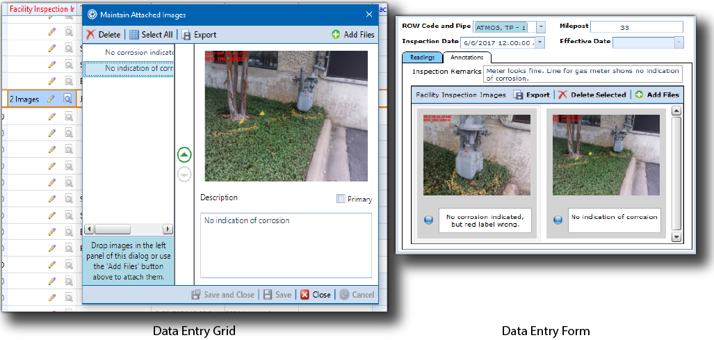 Export Images from a Grid or Form