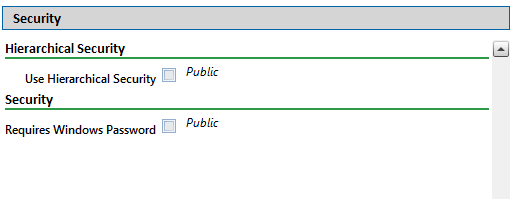 Security Options