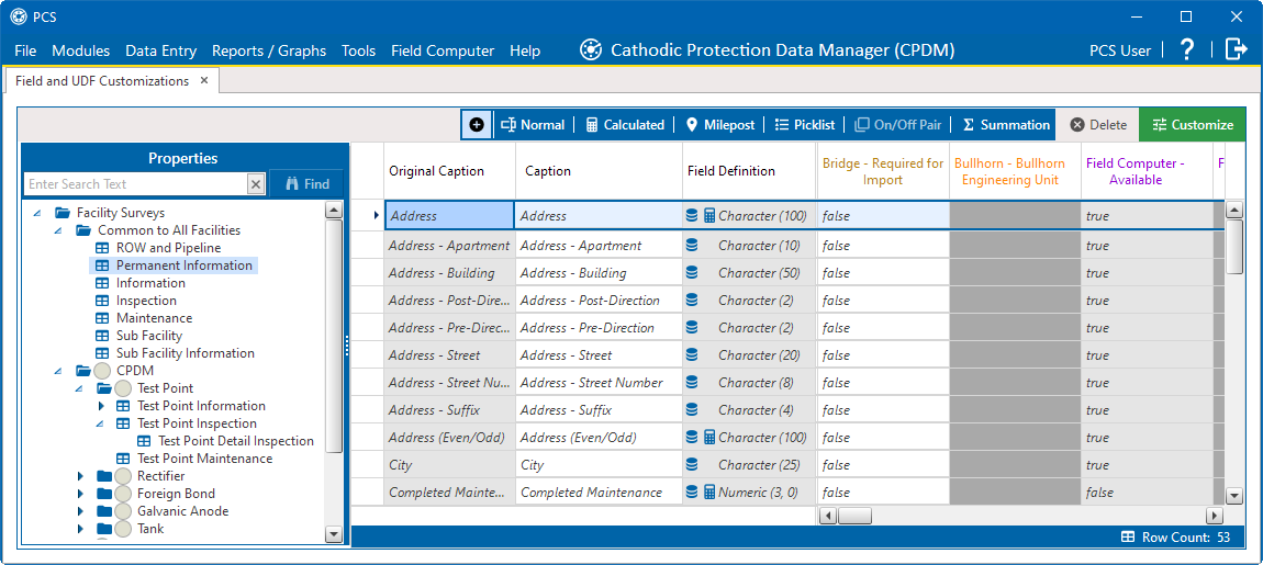 Field and UDF Customizations - Permanent Information Table