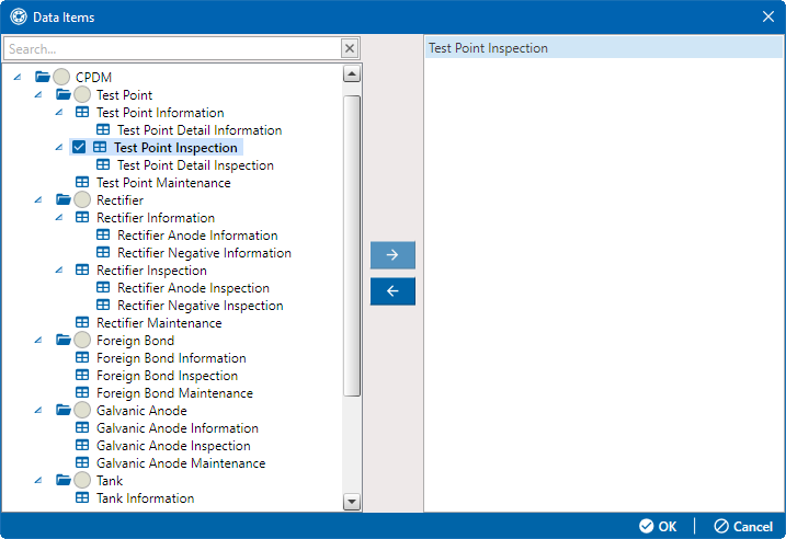 Data Items